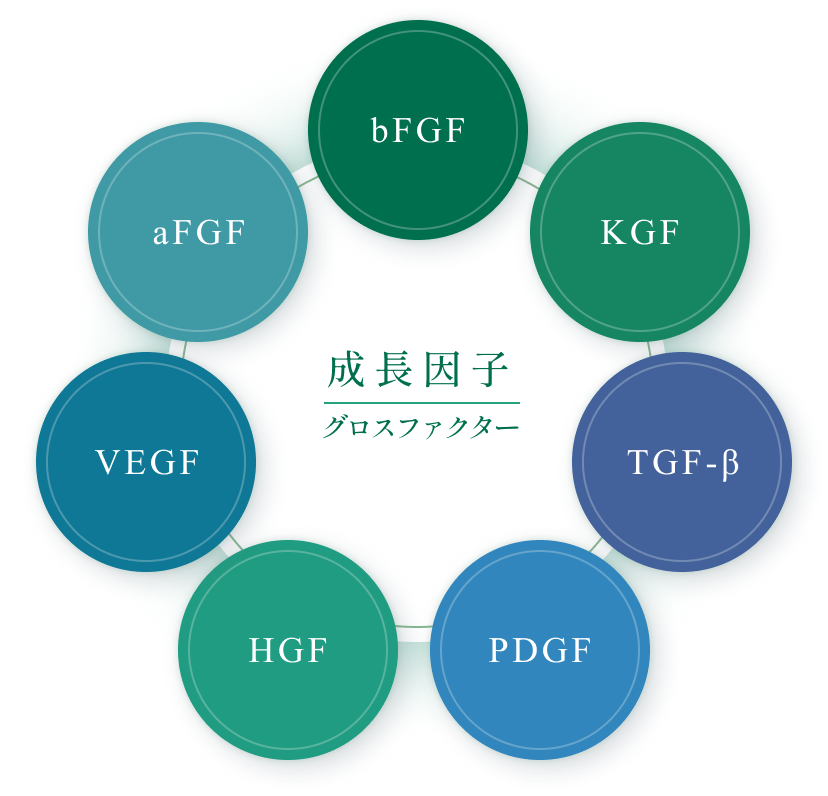 成長因子