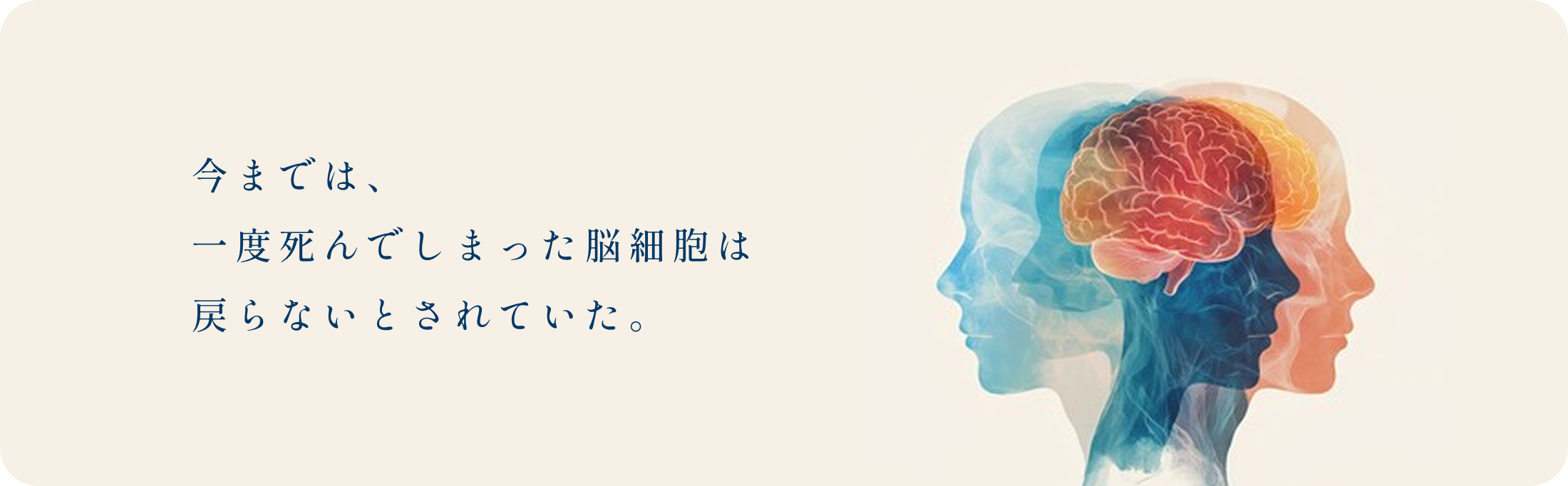 今までは、一度死んでしまった脳細胞は戻らないとされていた。