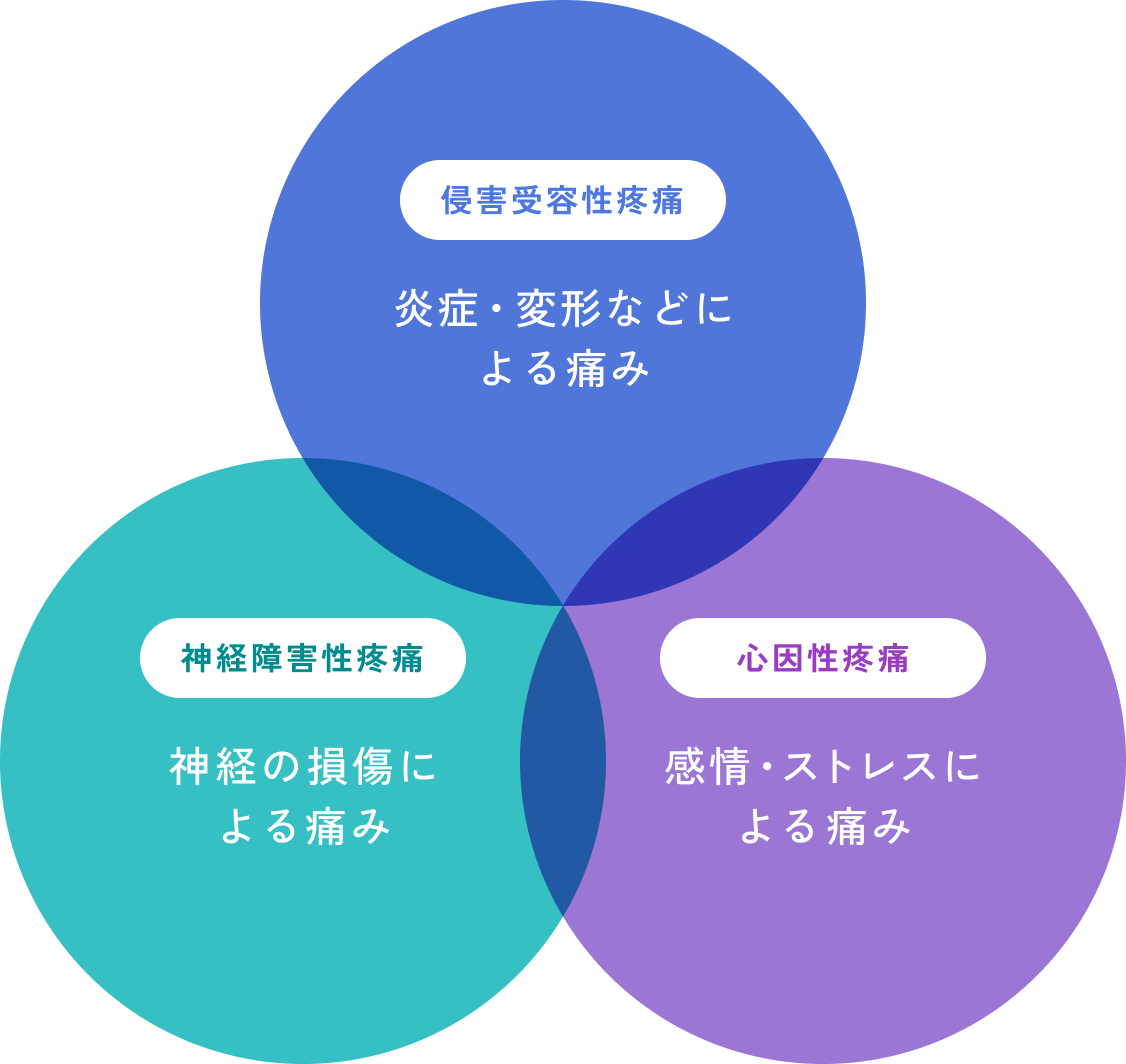 治療内容画像