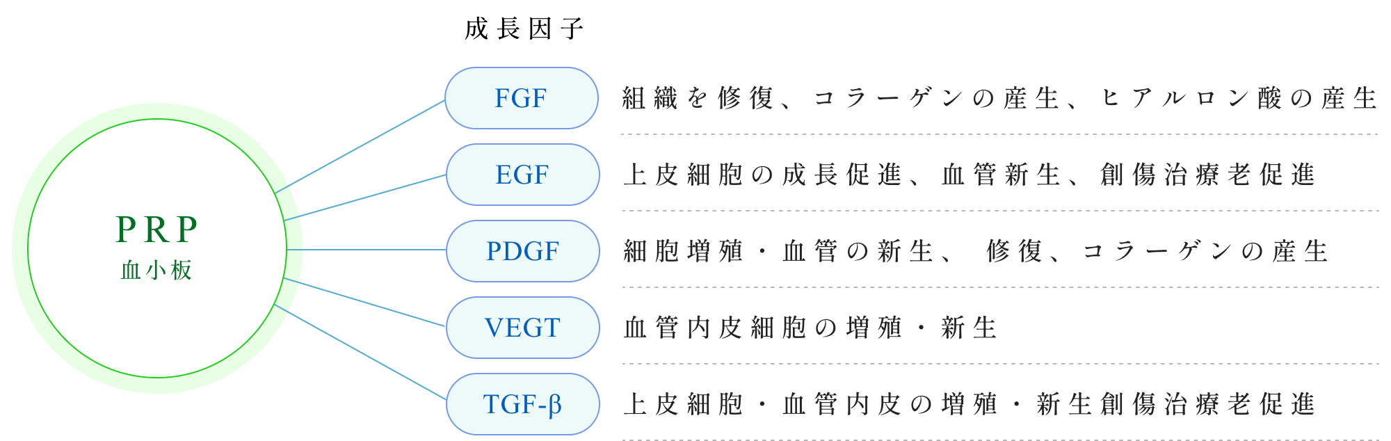 今までは、一度死んでしまった脳細胞は戻らないとされていた