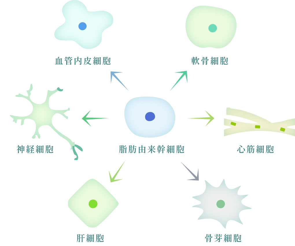 装飾画像1
